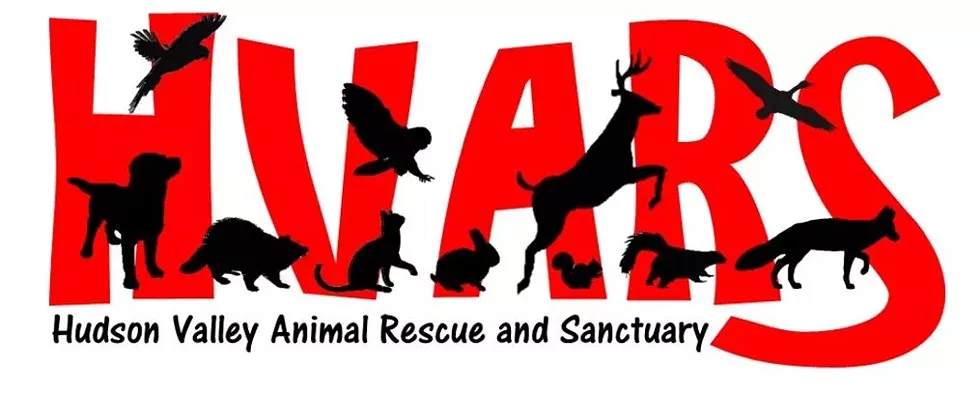 hvars_logo.webp