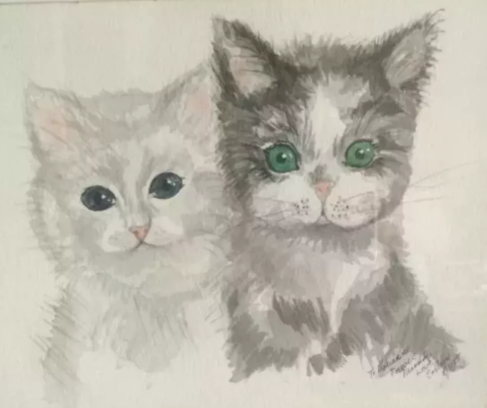 Pet Portraits