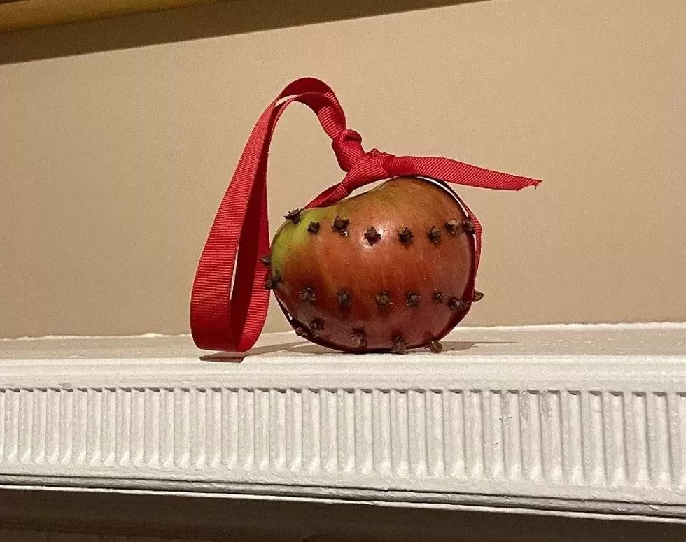 524707038_1255861433217755_6040389119516352712_n.webp