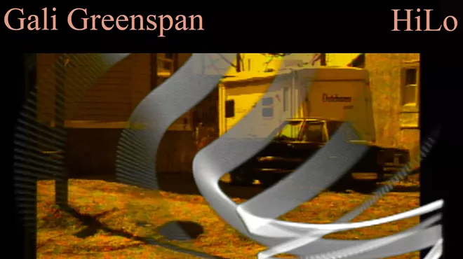Image: Gali Greenspan: Vectors and Waves in Owego