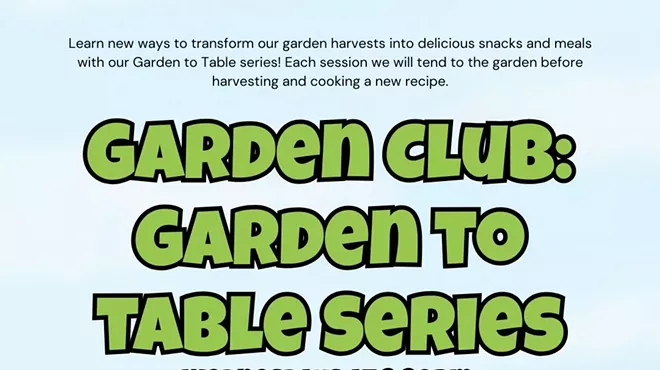 Image: Garden to Table Series: Rainbow Wraps