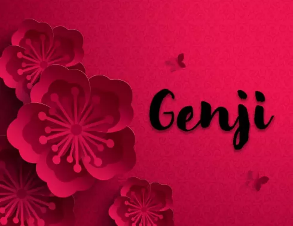 program-genji_orig.webp