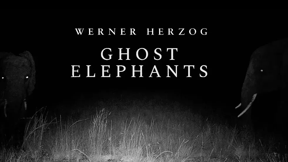 ghost-elephants.webp