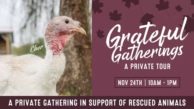 Image: Grateful Gatherings: A Private Sanctuary Tour