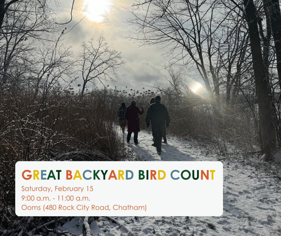 People walking through a winter landscape. The words say Great Backyard birdcount Saturday February 15 from 9 a.m. to 11 a.m. at Ooms (480 Rock City Road, Chatham)