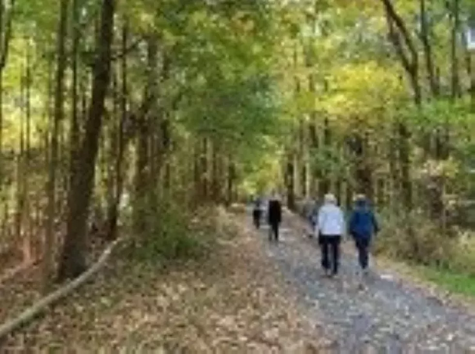 staatsburgh-trail.webp