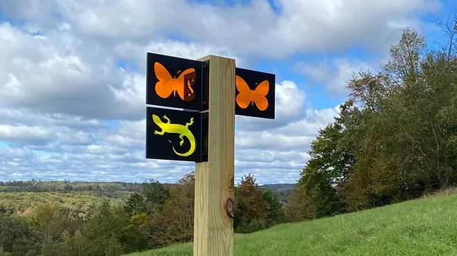 Image: Guided Walk at the Reserve: Animals and Their Habitats