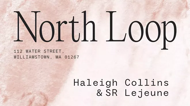 Image: Haleigh Collins & SR Lejeune and Edwin Arzeta: Green and Violet Blue to open at North Loop