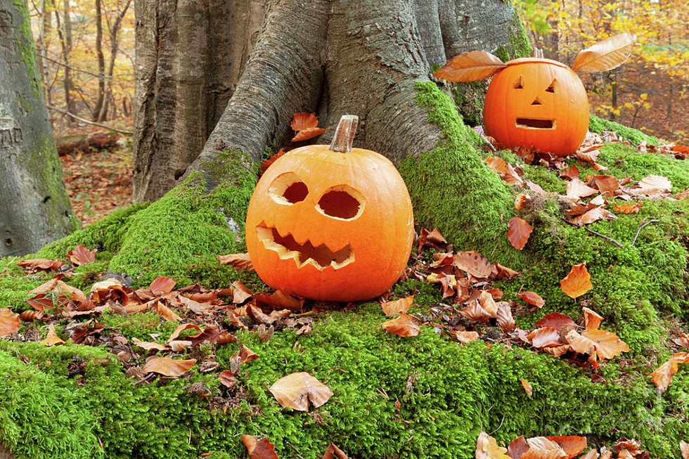 halloween-scary-pumpkins-in-the-woods-simon-bratt-photography-lrps.jpg