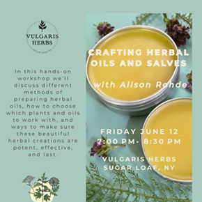 Image: Handcrafting Herbal Oils and Salves