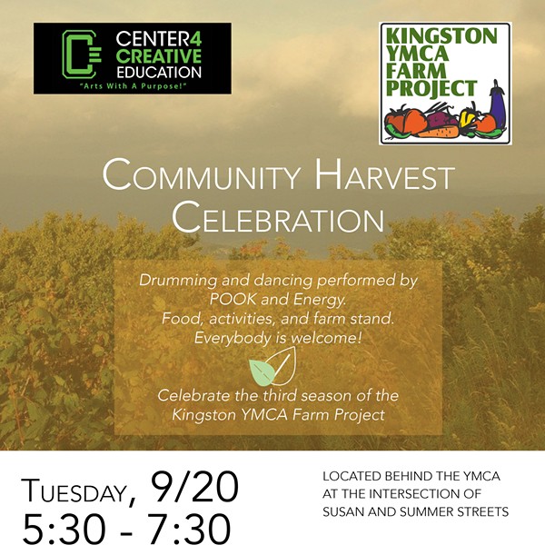 Harvest at the Kingston YMCA Farm Project