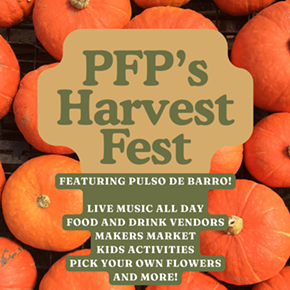 Image: Harvest Fest 2026!