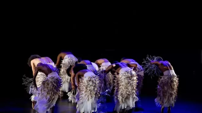 Image: Hatched Ensemble