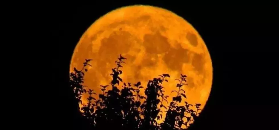 7bf928d6-3e6d-4f67-a74a-d08fbde3df10-large16x9_huntermoon-e1.webp
