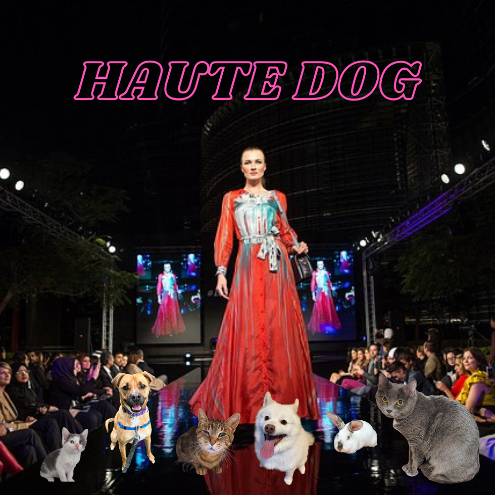 Haute Dog Pop-Up to Benefit DCSPCA