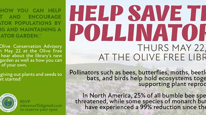 Image: HELP SAVE THE POLLINATORS!