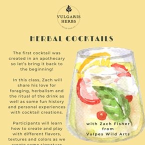Image: Herbal Cocktails