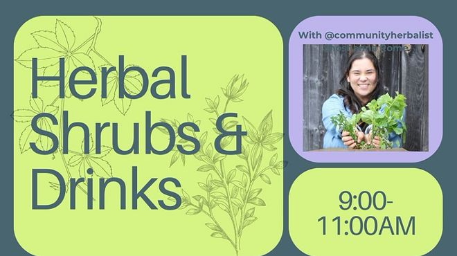 Image: Herbal Shrubs and Drinks
