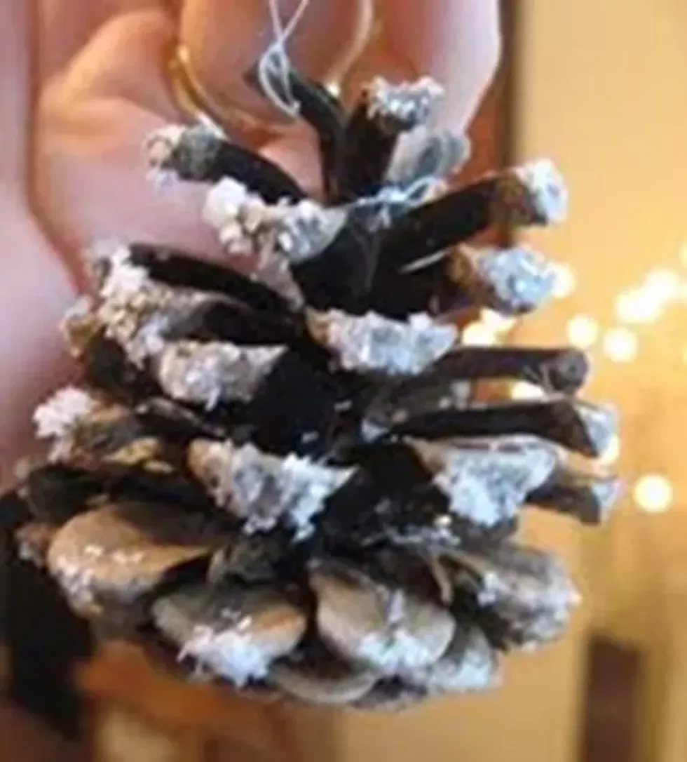 copake-ornament.webp