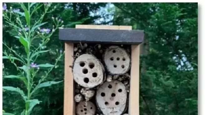 Image: Honey Harvest: End of Summer Pollinator Walk with Fox Farm Apiary