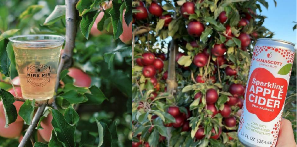 how_bout_them_apples.png