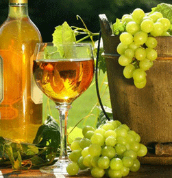 Hudson Valley Wineries Directory