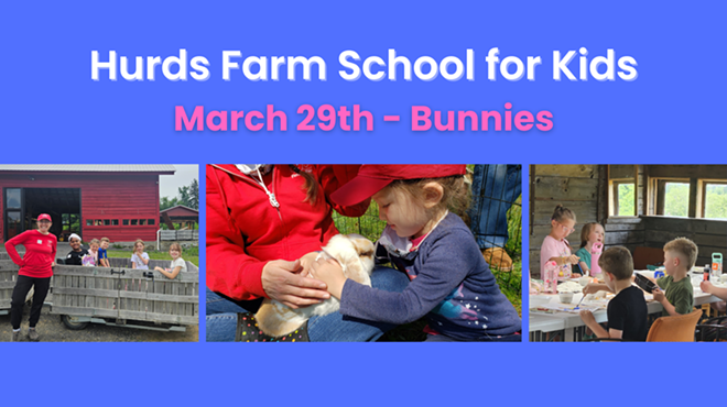 Image: Hurds Farm School for Kids - Bunnies