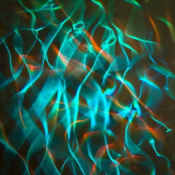 Illuminated: Light as Medium at Ann Street Gallery