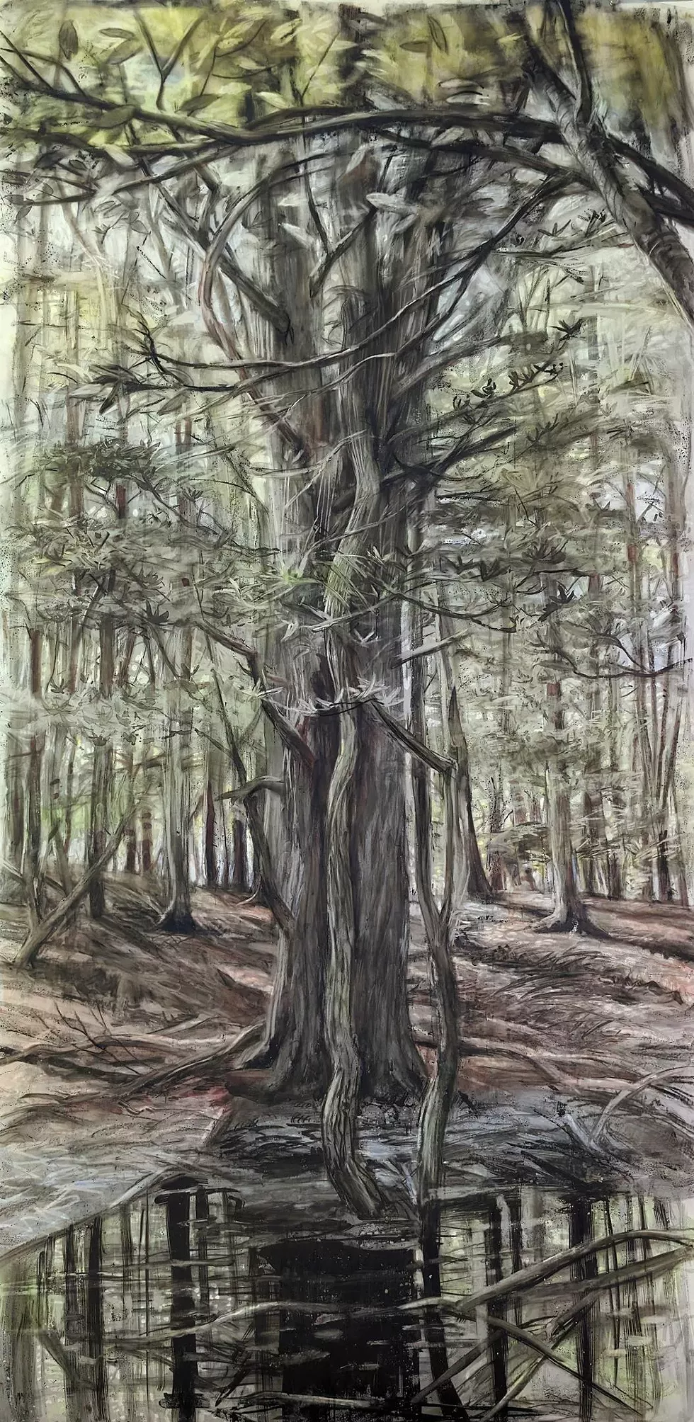 Among the Trees, Andrea Kantrowitz, 2024, ink and mixed media on vellum