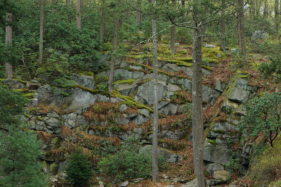 quarry_cliff_rick_darke.png