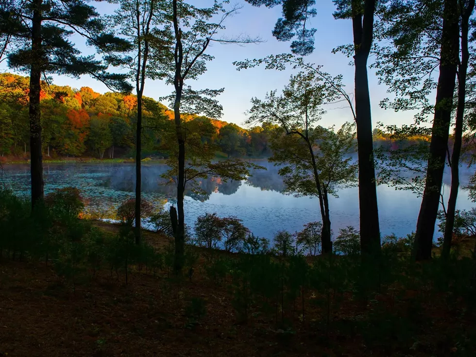 photo-42.webp