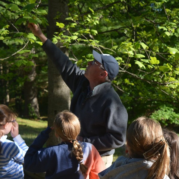 Innisfree Garden Looking at Nature: All Ages Nature Walk