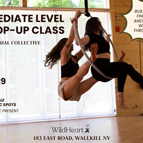 Image: Intermediate Level Lyra Fluidity Pop-Up Class