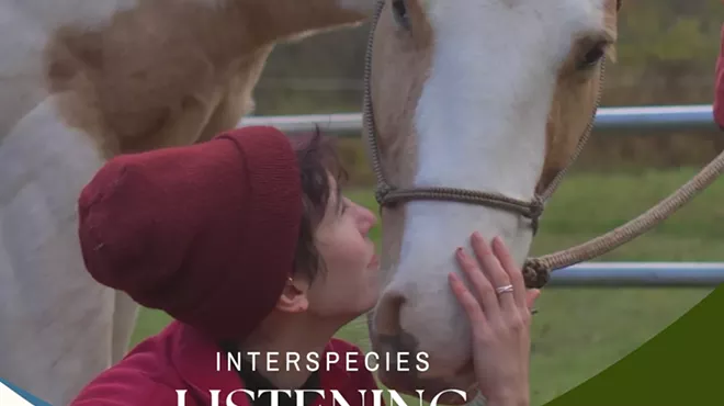 Image: Interspecies Listening: Lessons With A Master