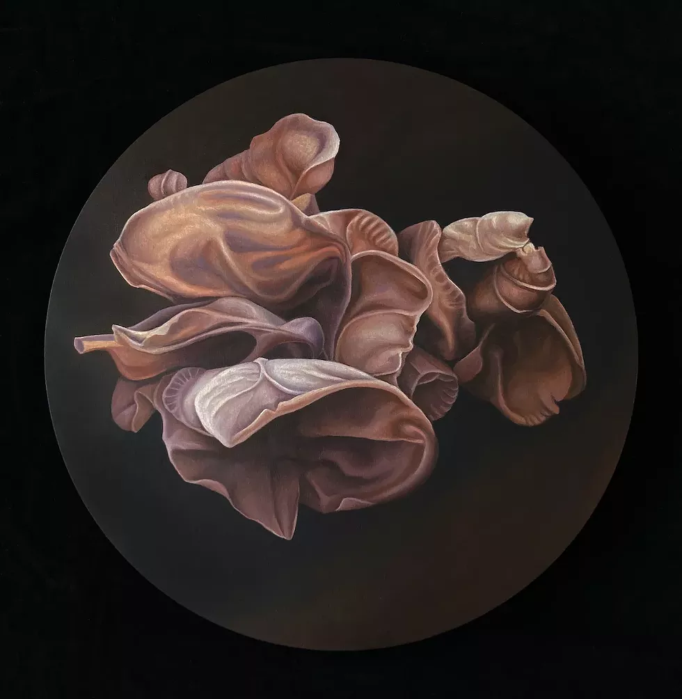 Wood Ear Mushrooms, 2026, Oil on wood, 14 inches in diameter