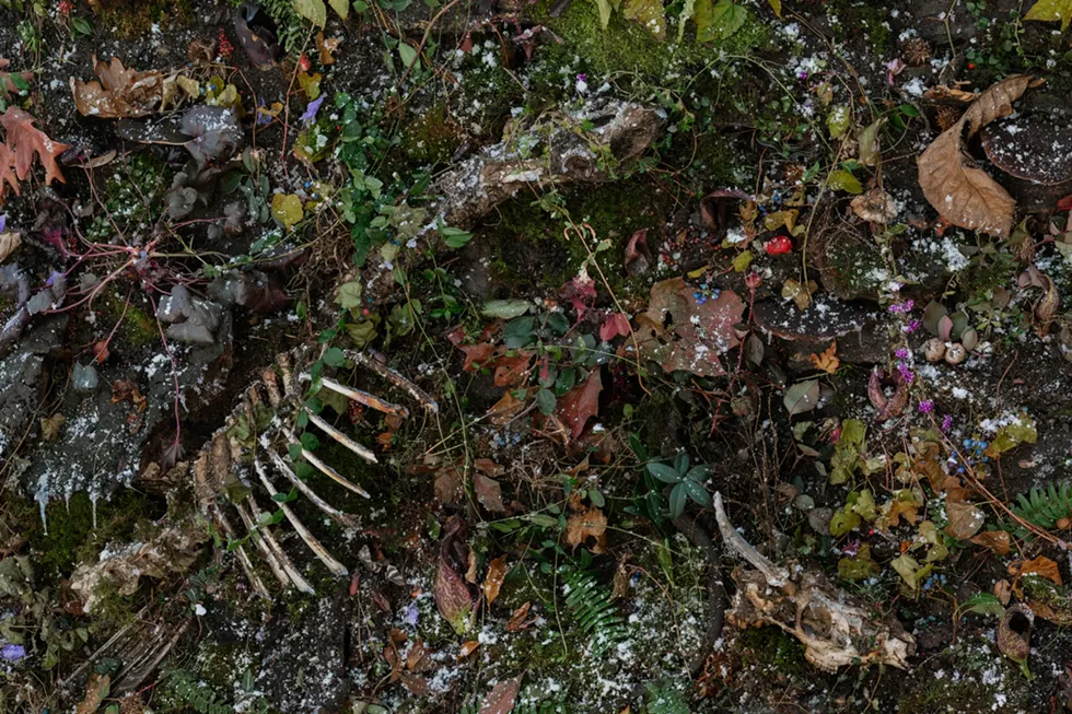 30_woven_detail2-1536x1024.webp