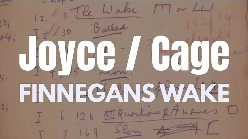 joyce---cage.webp