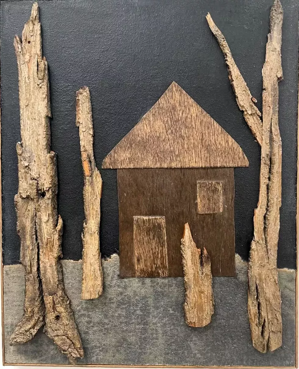 judith_hoyt_-_untitled___fabric_wood__bark_11x14_in..webp
