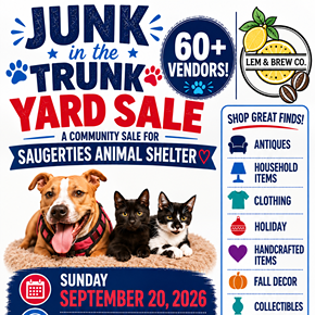 Image: Junk in the Trunk Yard Sale 60+ Vendors