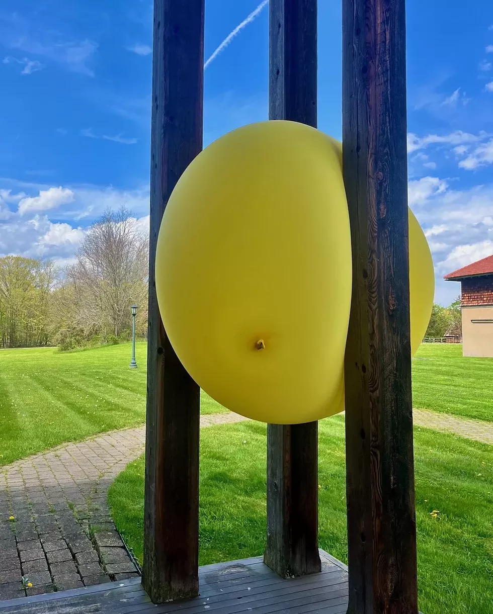 Arthur Gibbons, Kaatsbaalloon 1, 2024