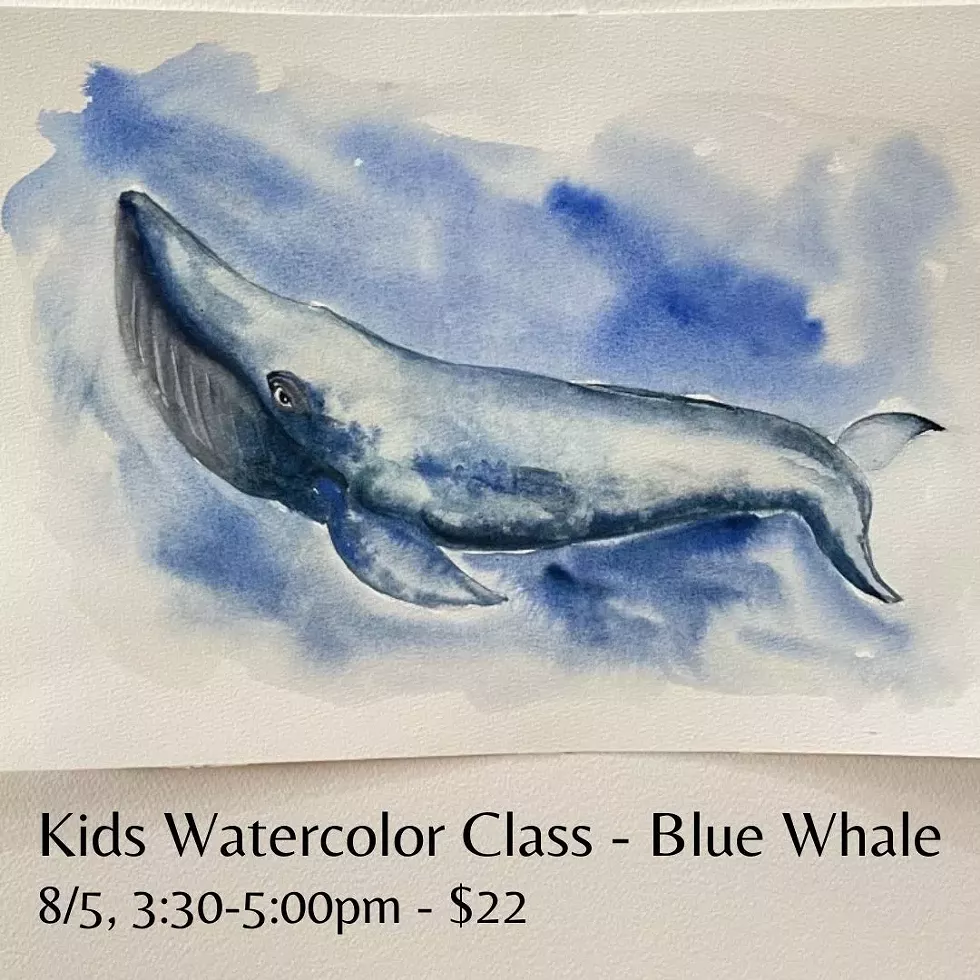 Blue Whale Class