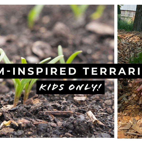 Kids Only! Farm-Inspired Terrariums