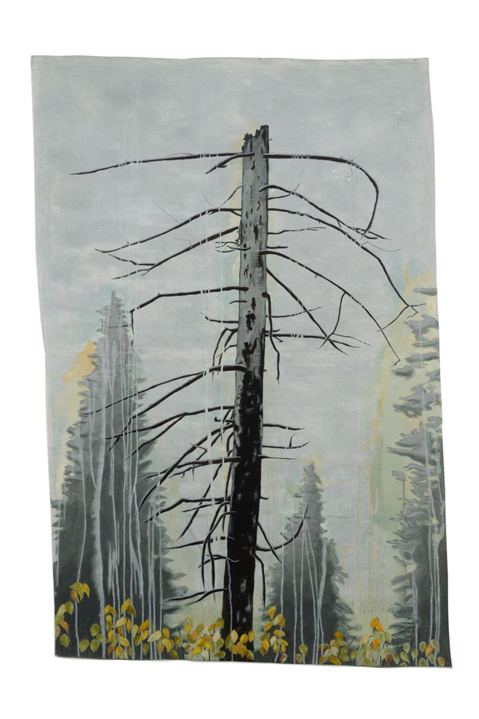 Image of "Vertebrae Mt. Spokane, WA", 2019, Acrylic paint on old canvas drop cloths, 57 x 86 inches by Kingsley Parker