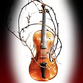 Image: KingstonClassical Presents Haydn's Seven Last Words
