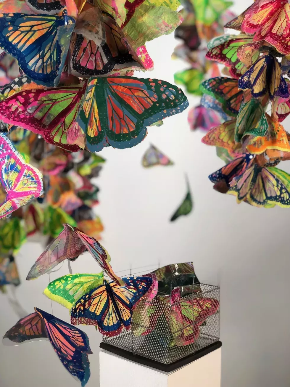 marielena_ferrer_broken_monarchs.webp