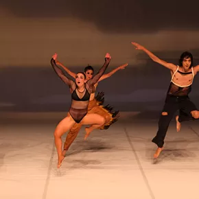 Image: L&rsquo;Alliance New York Announces The New York Premiere of Lenio Kaklea&rsquo;s The Birds