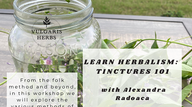 Image: Learn Herbalism: Tinctures 101