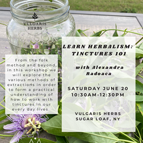 Image: Learn Herbalism: Tinctures 101