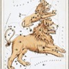 Leo Horoscope | September 2023