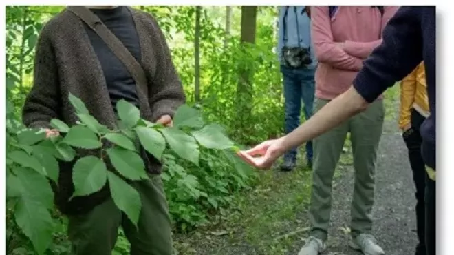 Image: LESSONS FROM THE LAND - Turning to the Plants: A Guided Plant Walk through Olana with Antonia P&eacute;rez of Herban Cura